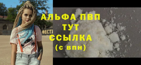 крисы Горняк