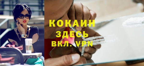 крисы Горняк