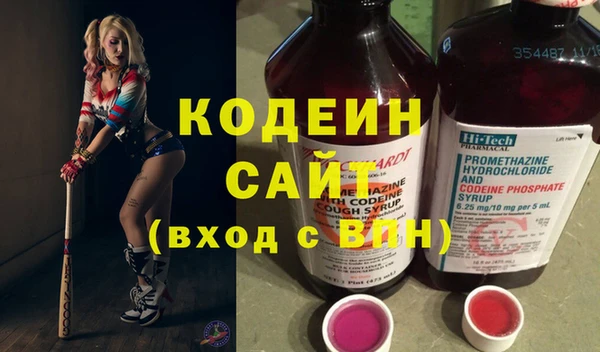 крисы Горняк