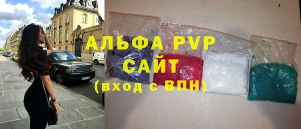 крисы Горняк