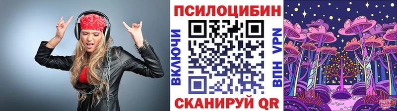MEGA ТОР  Навашино  Галлюциногенные грибы Psilocybine cubensis 